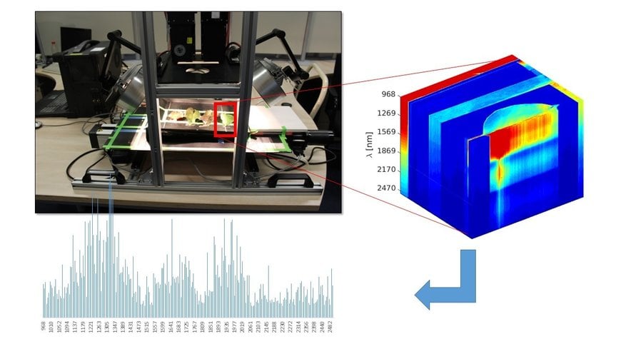 Sensors for early disease symptom detection in European fruit growing